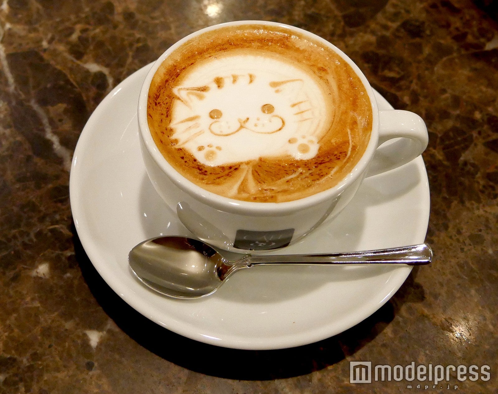 カプチーノ／画像提供：株式会社　ヤック