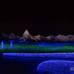 月夜／画像提供：長島観光開発