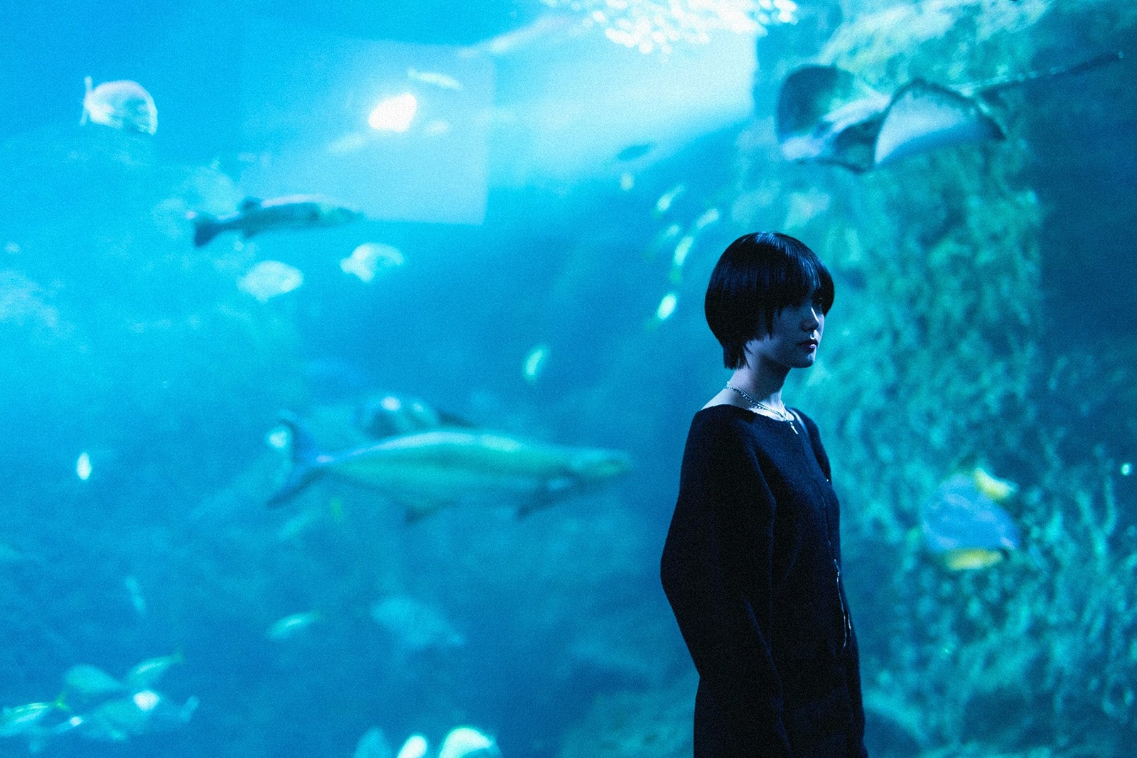 尾碕真花「コールミー・バイ・ノーネーム」第7話（C）MBS