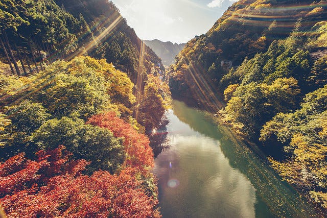 東京・奥多摩は人気の紅葉スポット!見頃やオススメコースを押さえてドライブへ
