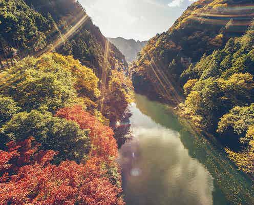 東京・奥多摩は人気の紅葉スポット!見頃やオススメコースを押さえてドライブへ