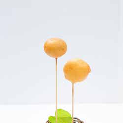 料理長スヌーピーのレストランプラン 7th Story(提供画像)