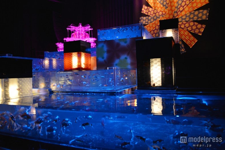 「『ECO EDO 日本橋』ダイナースクラブ アートアクアリウム2013～江戸・金魚の涼～」