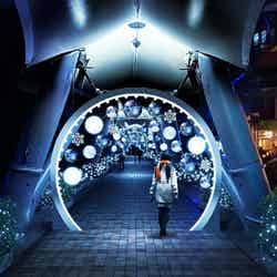 TOKYO SNOW DOME CITY(提供写真)