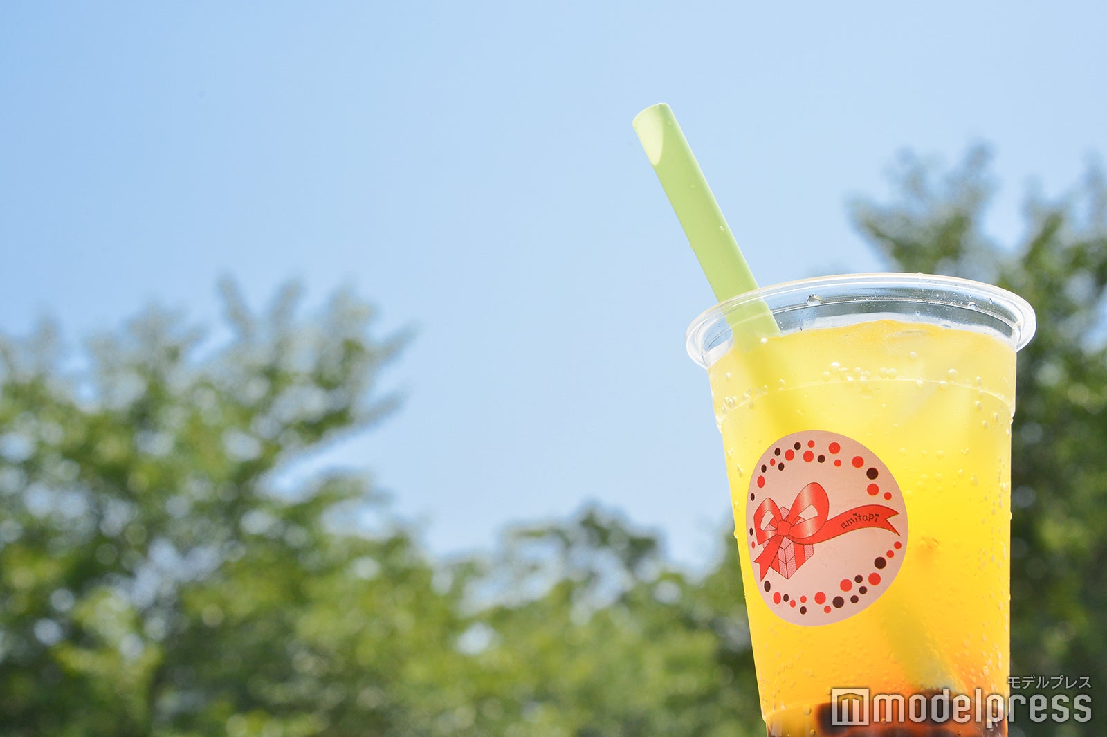 タピッシュ オレンジ （C）モデルプレス