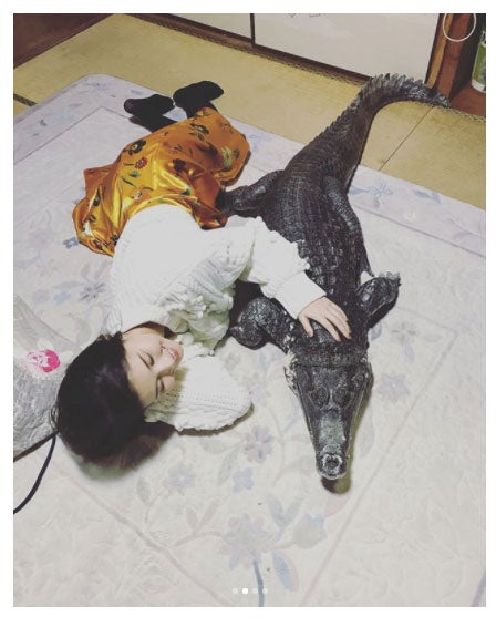 橋本マナミ“本物のワニ”との添い寝ショットにファン驚愕