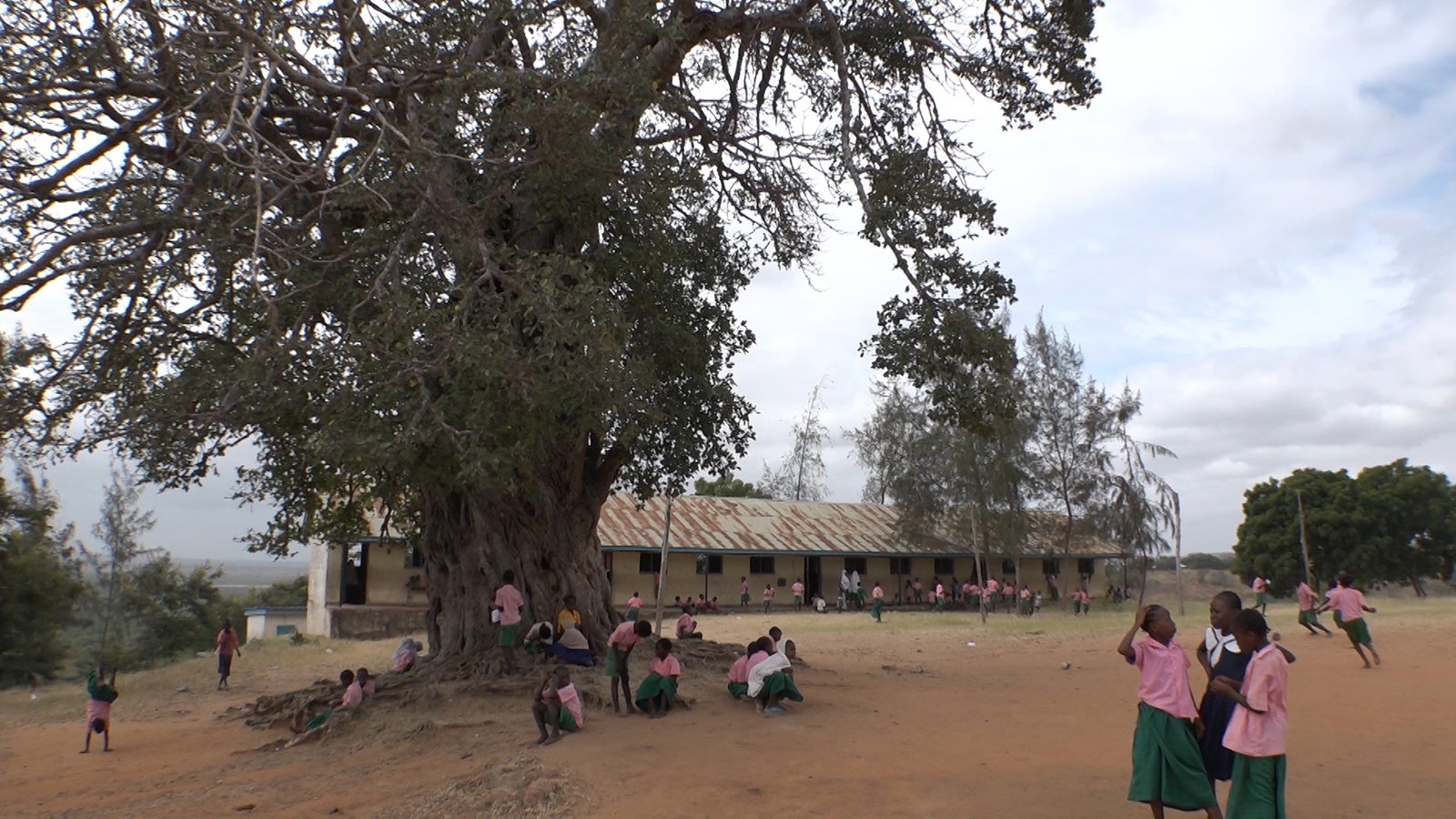 「あいのり：African Journey」第2話より（C）フジテレビ