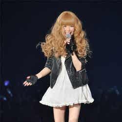 Milky Bunny(益若つばさ)