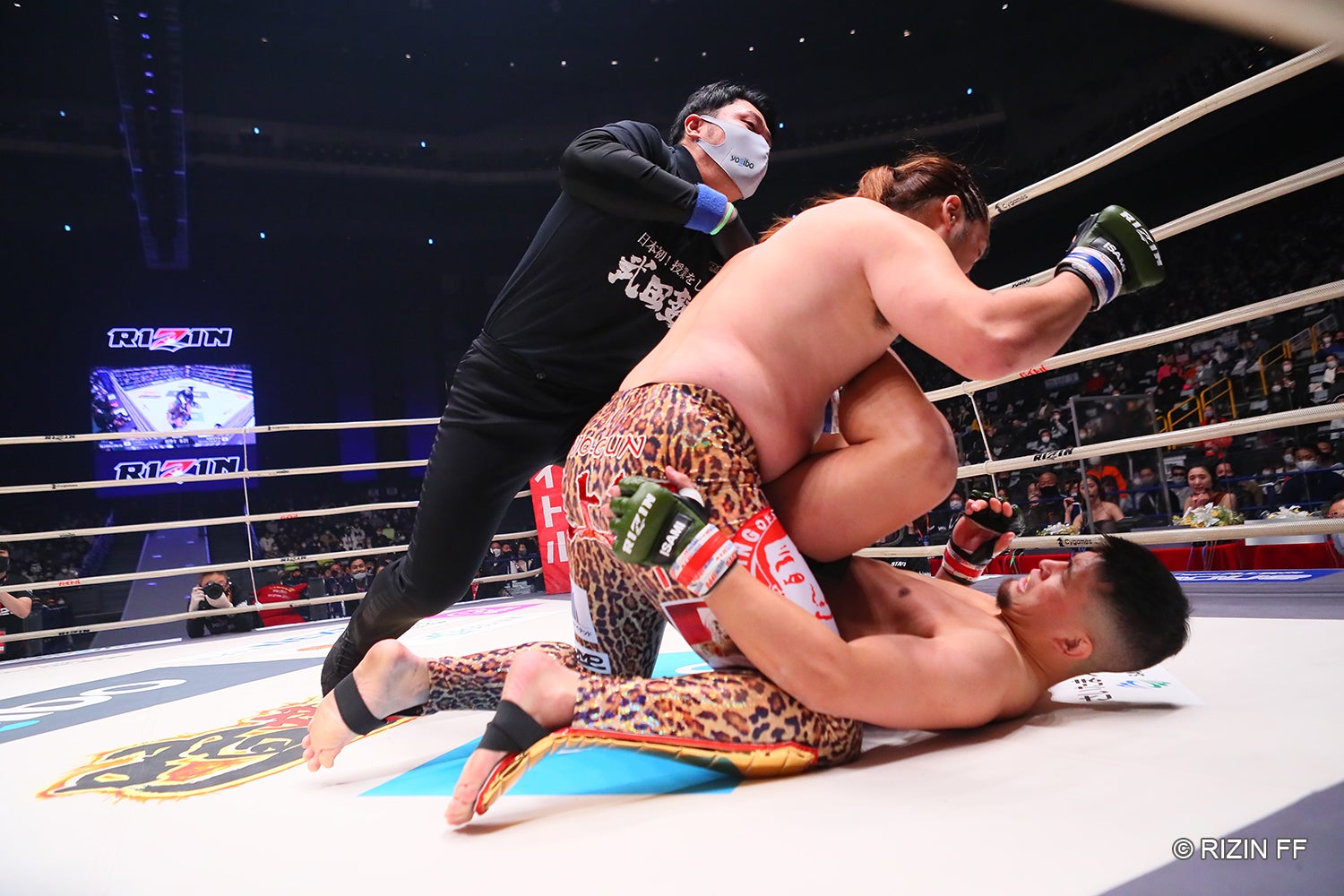 シバターVSHIROYA（C）RIZIN FF