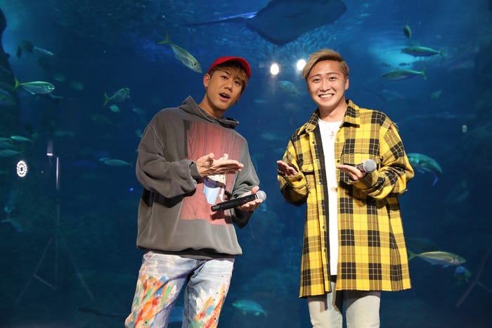 大野雄大/撮影:gaku