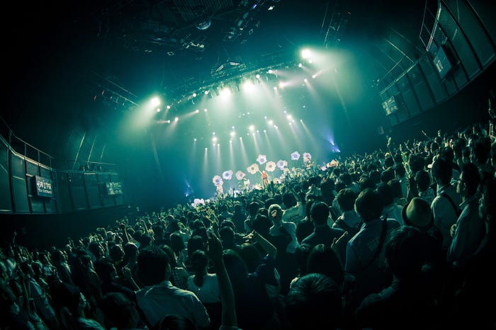 大塚 愛(提供写真)