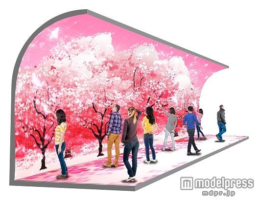 「ILLUSION DOME」イメージ