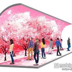 「ILLUSION DOME」イメージ