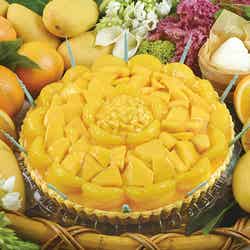 店舗限定「マンゴーとオレンジのレアチーズタルト」1ホール(25㎝)¥6804※8月末までの販売予定/画像提供:キル フェ ボン 東京スカイツリータウン・ソラマチ店