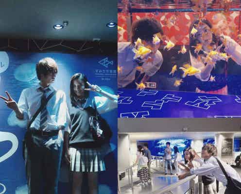 窪田正孝&永野芽郁の水族館デートが可愛い “彼女感”ショットも公開<僕たちがやりました>