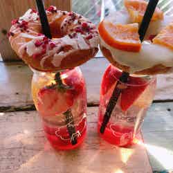 フードメニュー/画像提供:柏原歩