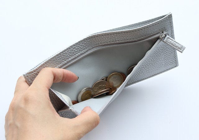 付録　素敵なあの人　TABASA　レザー調超スリム財布　小銭入れ　マチたっぷり　使いやすい