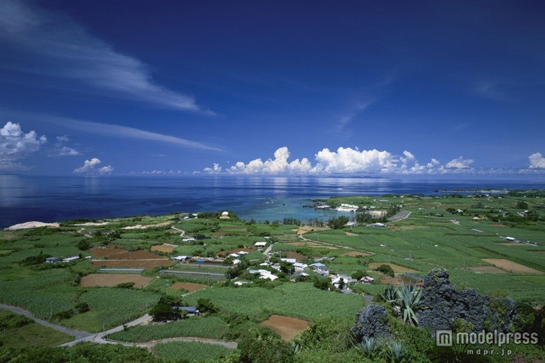 自転車で島をサイクリング／写真提供：Getty Images