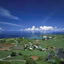 自転車で島をサイクリング/写真提供:Getty Images