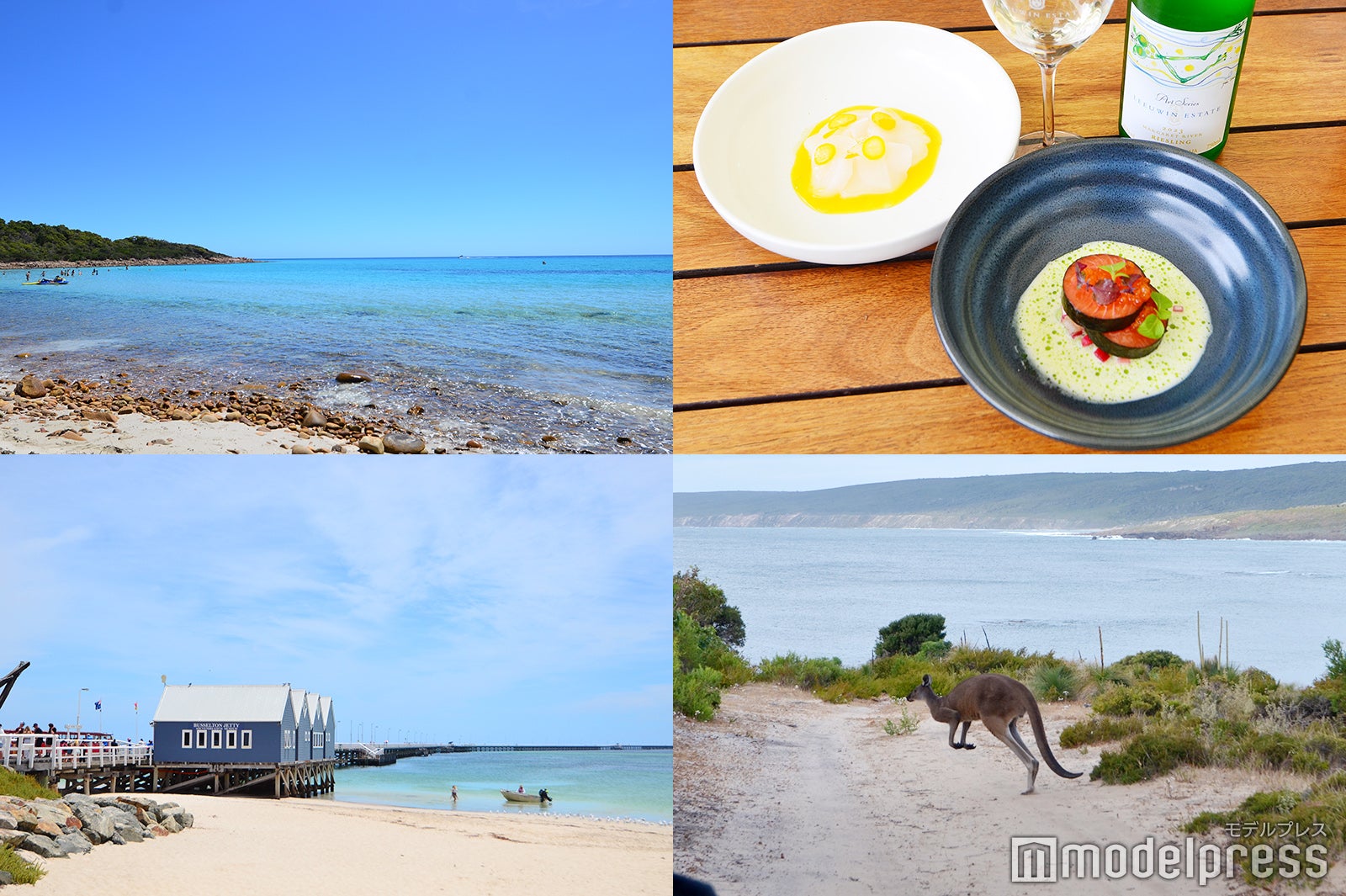 【西オーストラリア】グルメと自然が魅力のマーガレットリバー観光情報！美食＆野生生物との出会いに感動＜体験レポ＞