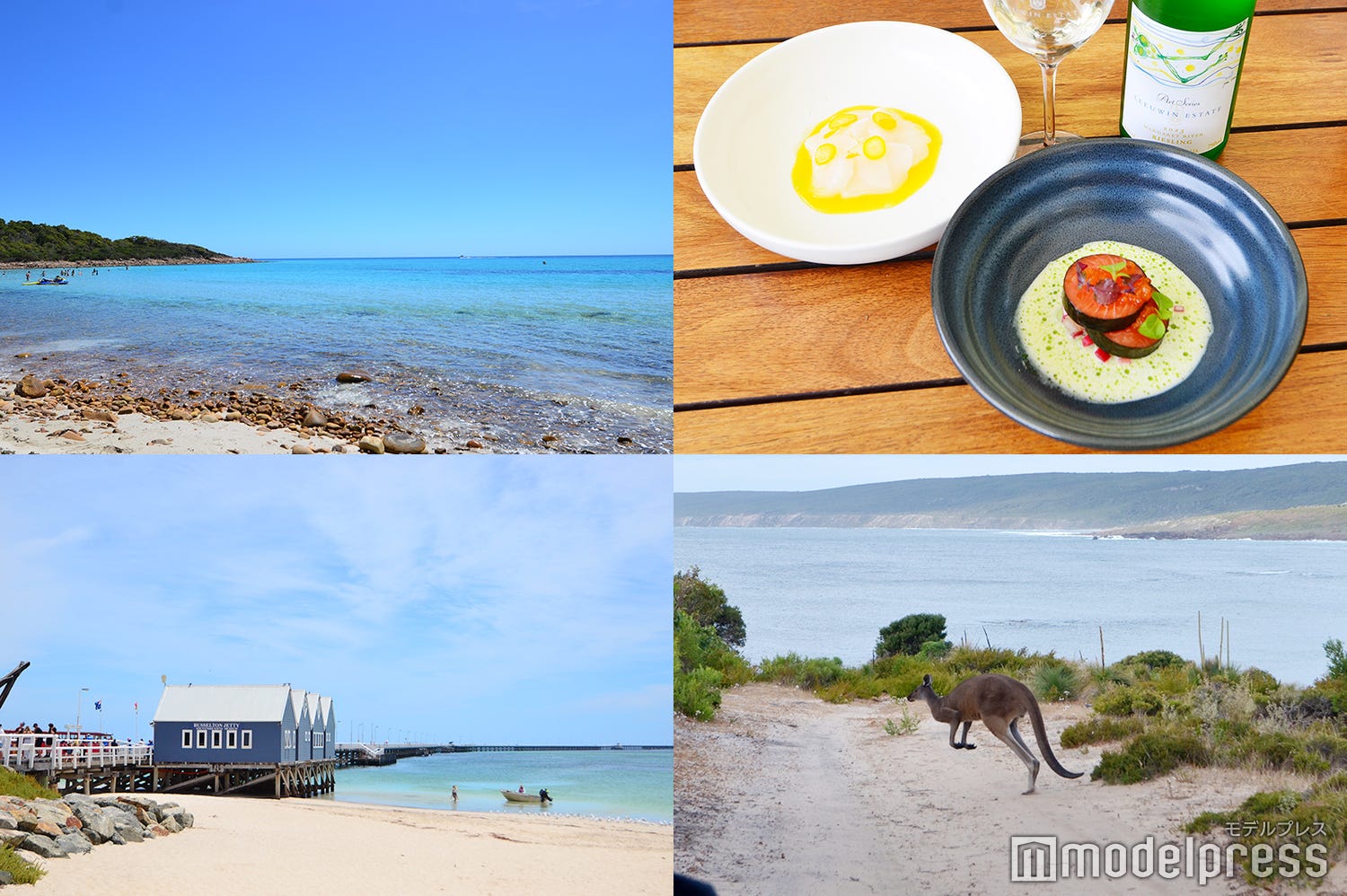 【西オーストラリア】グルメと自然が魅力のマーガレットリバー観光情報!美食&野生生物との出会いに感動<体験レポ>