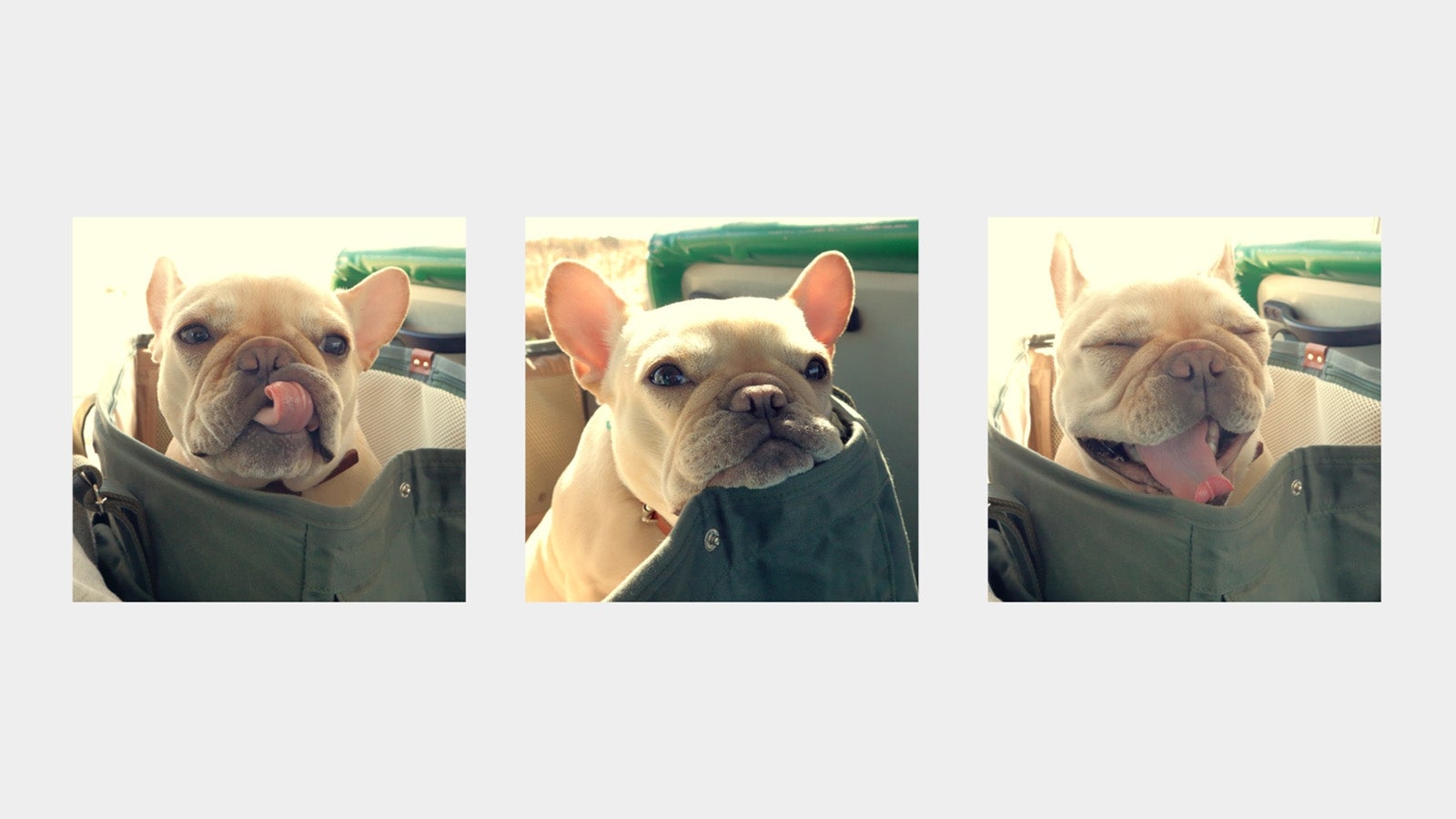 竹内結子出演の新CM『KISS is my life.』篇より（提供写真）