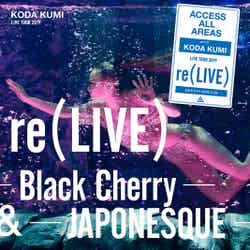 倖田來未 re（LIVE） DVD＜Loppi・HMV限定盤＞ （提供画像）
