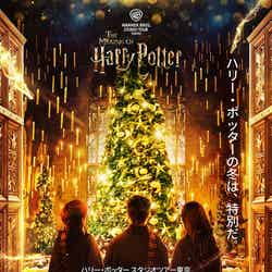 キービジュアル/All characters and elements (C) & TM Warner Bros. Entertainment Inc. WB SHIELD: (C) & TM WBEI. Publishing Rights (C) JKR.