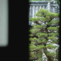 紫翠 ラグジュアリーコレクションホテル 奈良/提供画像