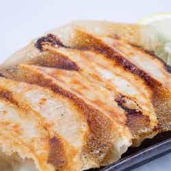 クラフト餃子フェス/画像提供:LAF Entertainment