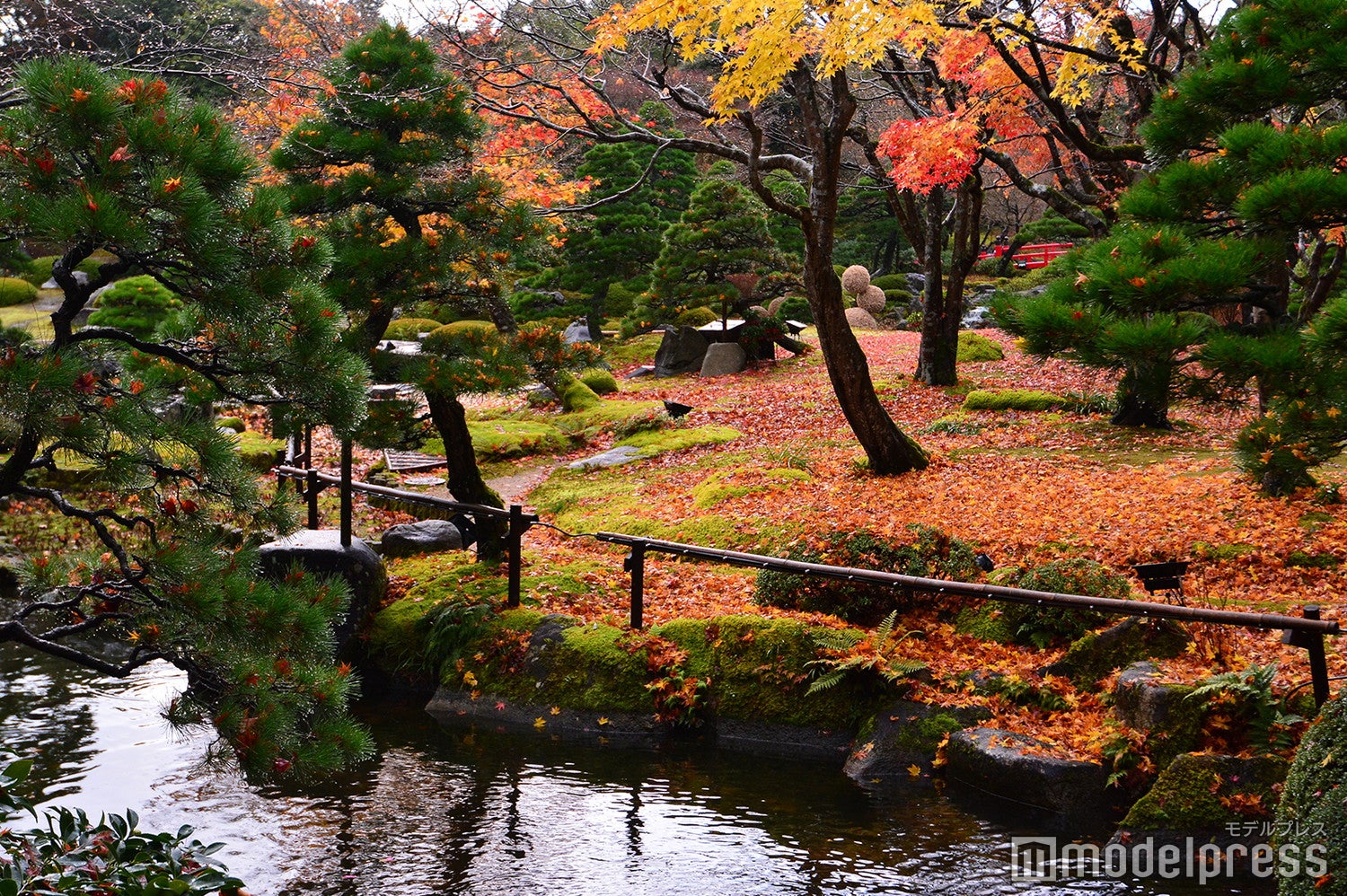 （C）モデルプレス