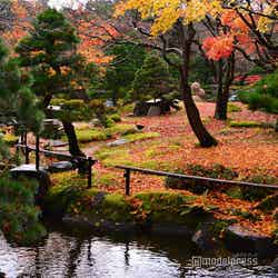 (C)モデルプレス