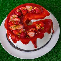 ストロベリー・カープ・ロード 勝鯉への道/提供素材