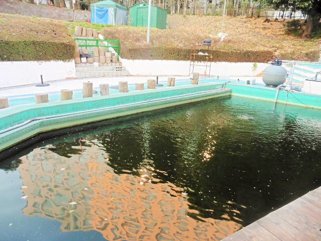 品川フィッシングガーデン