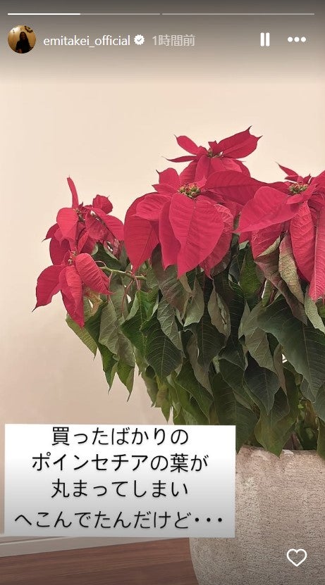 武井咲Instagramストーリーズより