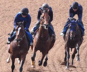 【平安S】ナルカミ 復活へ万全 3頭併せで精神面強化 田中博師も合格点「自発的な反応を見せて動きも軽かった」