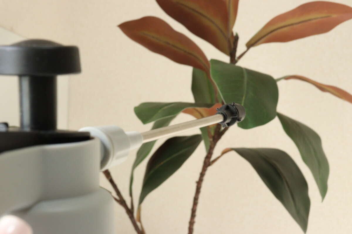 ダイソー　ロングノズル付き蓄圧式噴霧器　使用例　葉水
