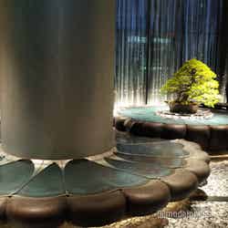 フォーシーズンズホテル大阪(C)モデルプレス