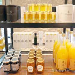 フォーシーズンズホテル大阪(C)モデルプレス