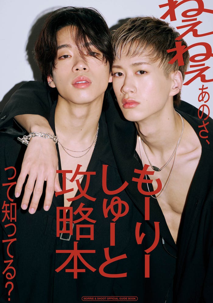 「ねぇねぇあのさ、 ”もーりーしゅーと攻略本”って知ってる?」表紙(C)SDP