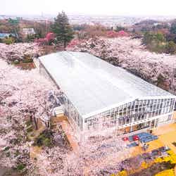 画像提供:よみうりランド