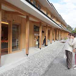 「サンセバスチャン通り」(C)モデルプレス