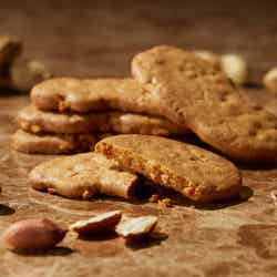 ドレ/画像提供:シュクレイ