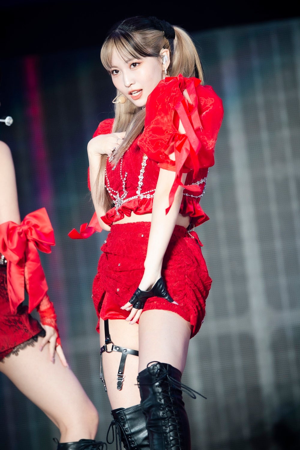 モモ／撮影：田中聖太郎