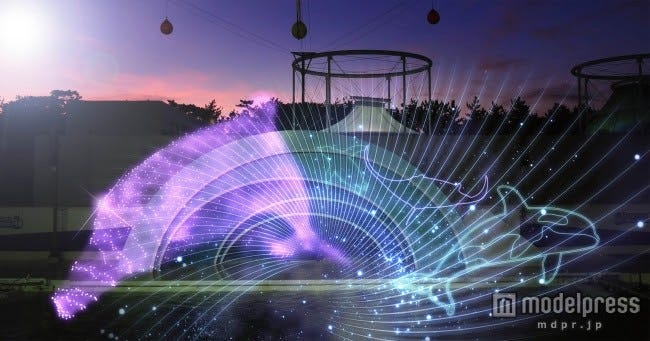 シーワールド、イルカの特別ナイトパフォーマンスがパワーアップ