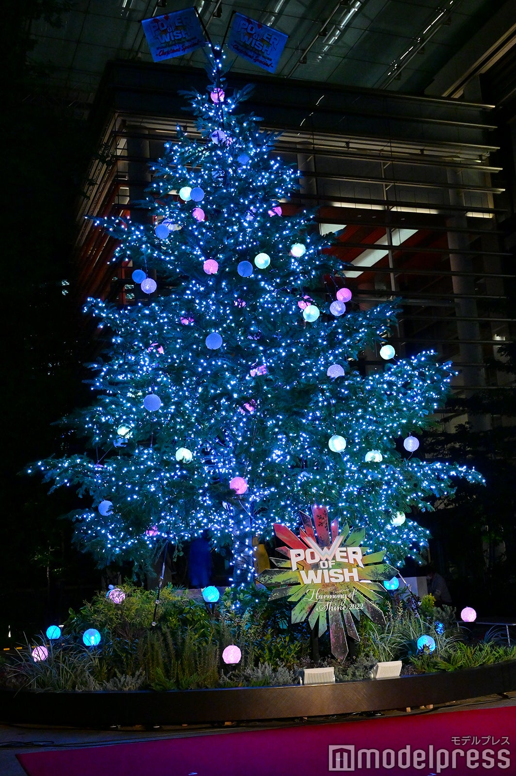 EXILEとコラボしたクリスマスツリー（C）モデルプレス