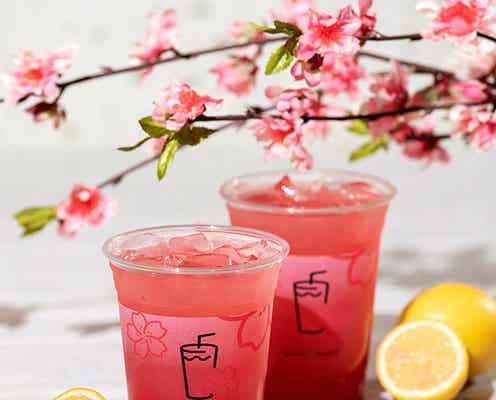 シェイクシャック、日本初登場「桜レモネード」&桜やチェリーのシェイク登場