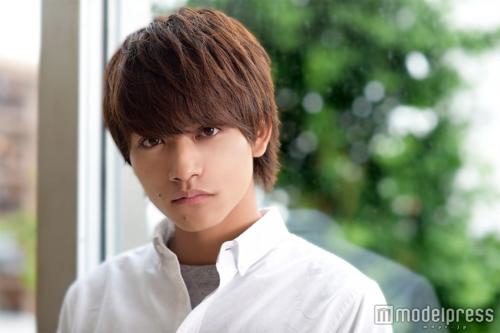 藤田富（C）モデルプレス