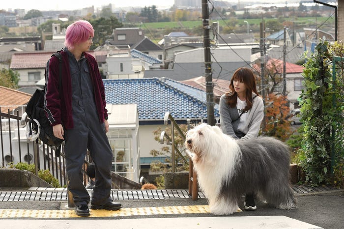 横浜流星、深田恭子/「初めて恋をした日に読む話」第1話より(C)TBS