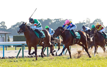 【シンザン記念】9番人気サンダーストラックが重賞初V、ハマーハンセンもJRA重賞を初制覇